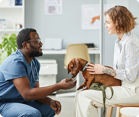 puppy at vet