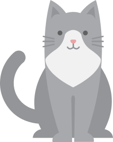 Cat image