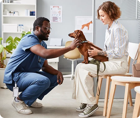 puppy with veterinarian